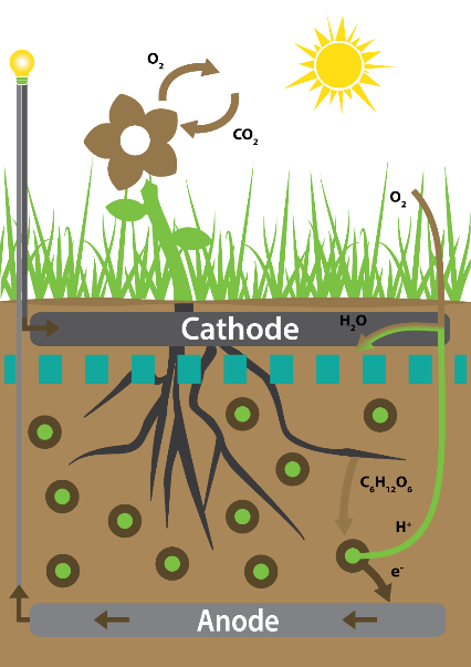 Plant-powered sensor schematic